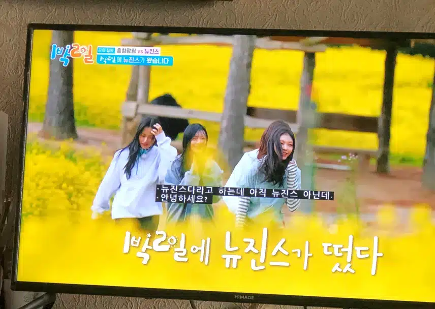 1박 2일에 나온 뉴진스~~ 