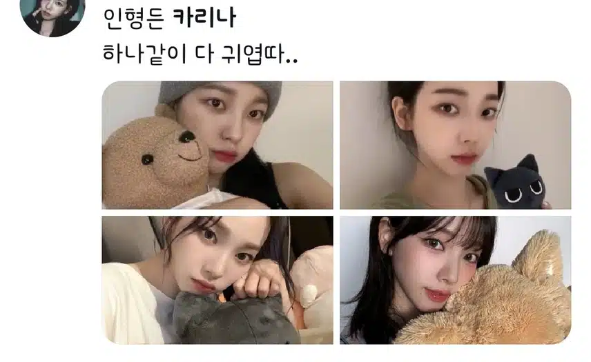 인형든 카리나  하나같이 다 귀엽따..
