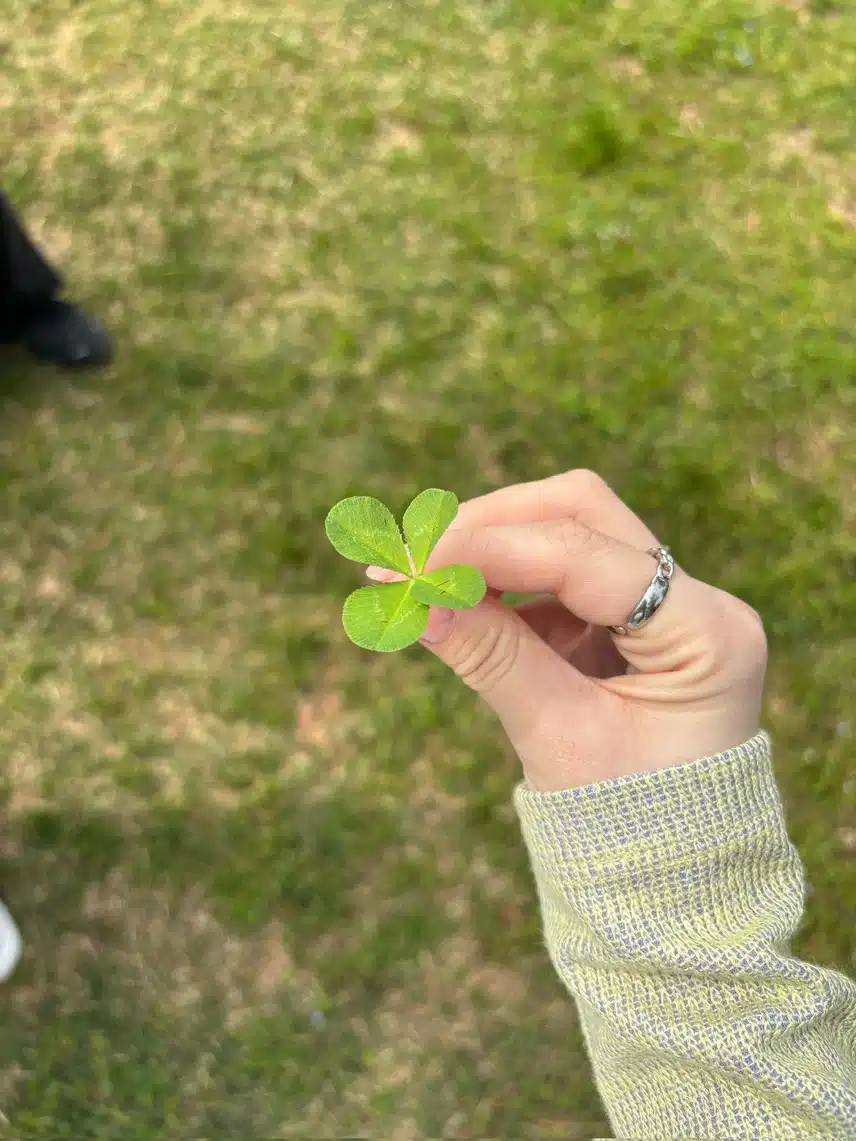 카리나가 주는 🍀 