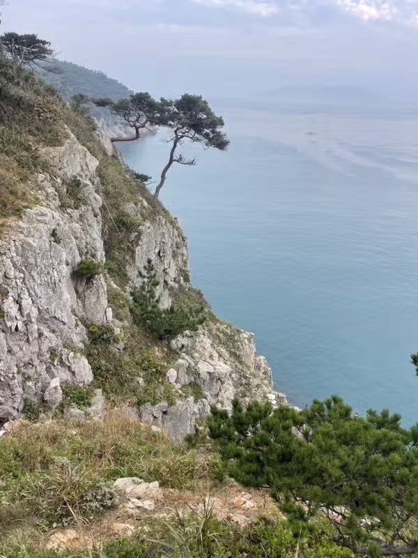 (촬영지)마도해안절벽