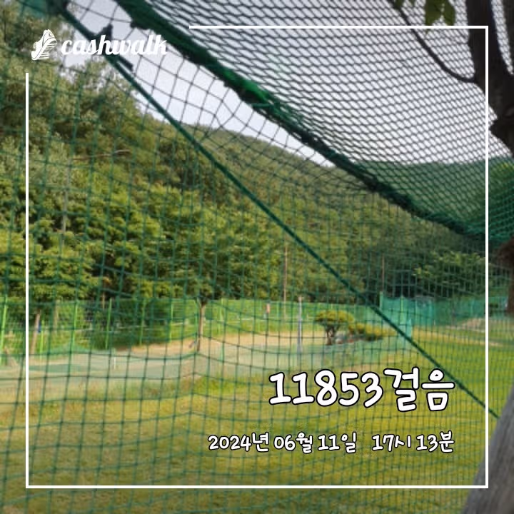 6200보걷기 챌린지 10일차 