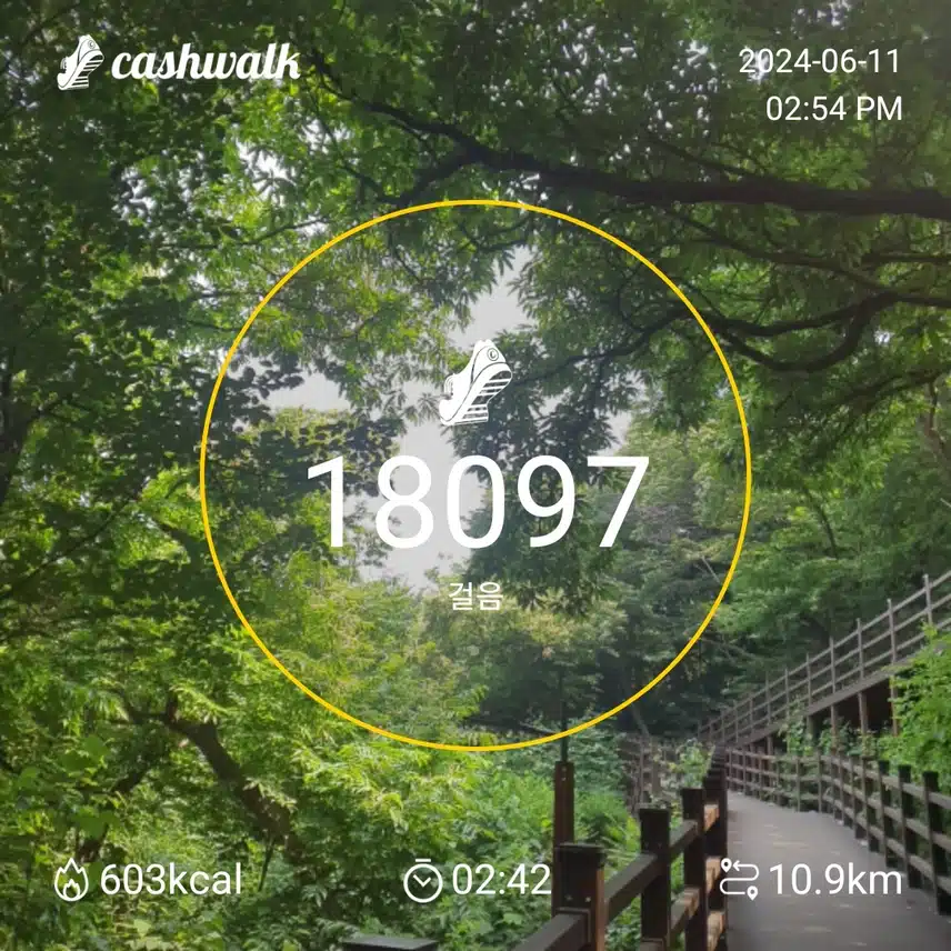 6200보걷기 8일차