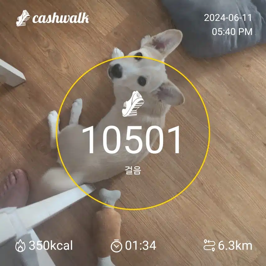 1일