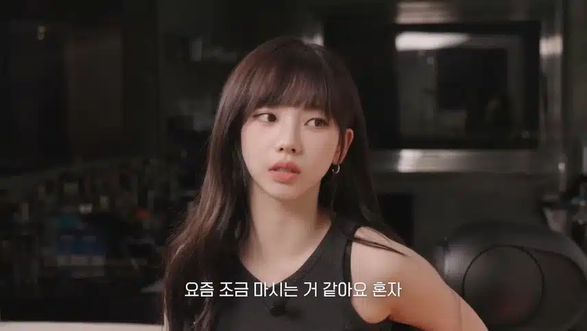 술안주 카리나파 vs 혜리파