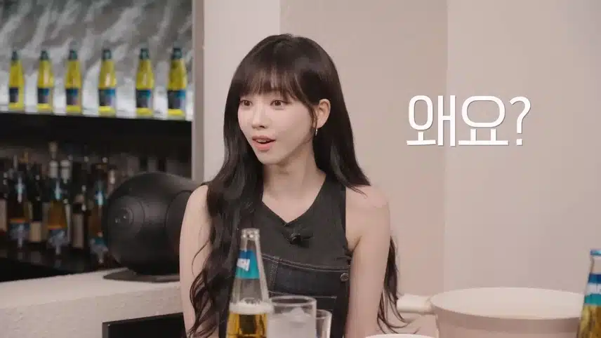 술안주 카리나파 vs 혜리파
