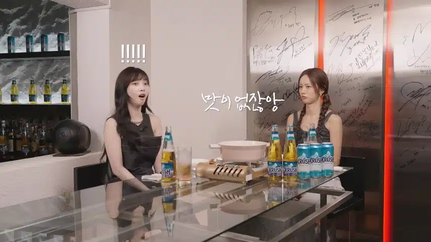 술안주 카리나파 vs 혜리파