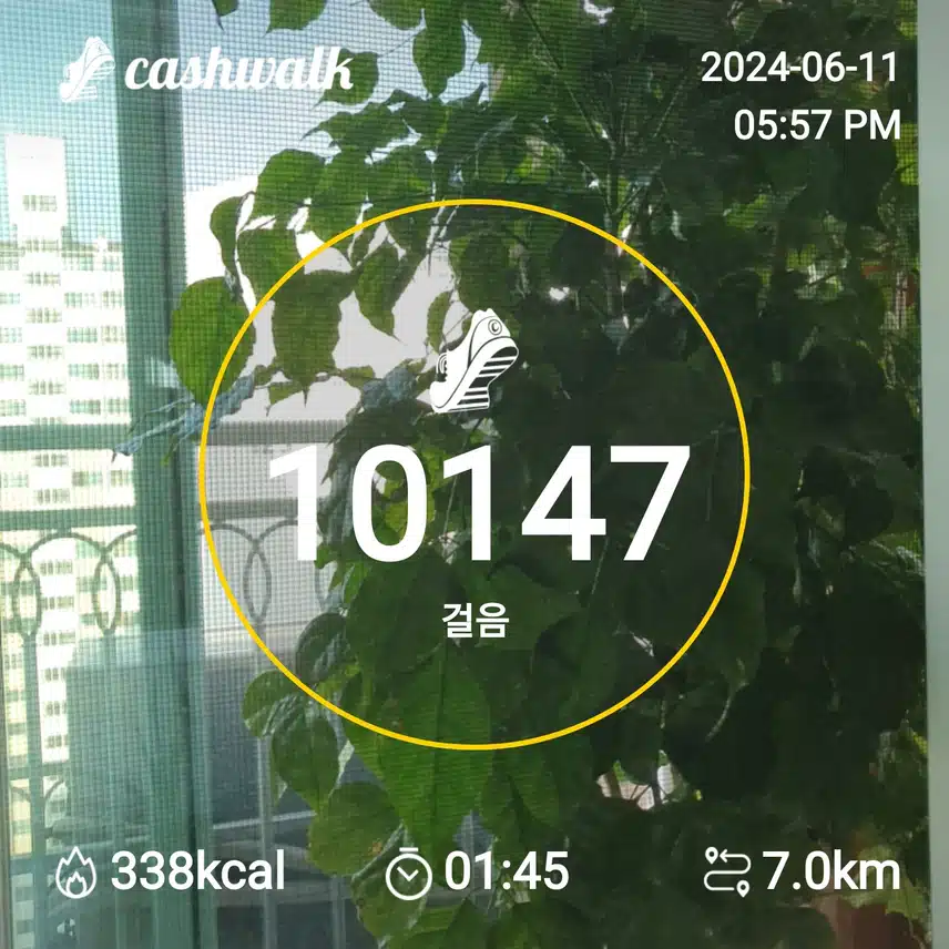 6200보걷기 