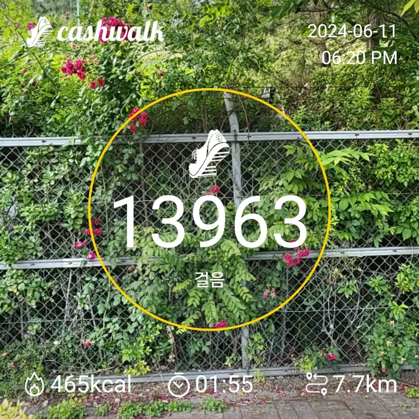 6.11