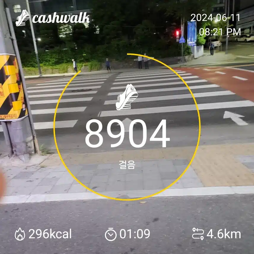 10일차 인증 