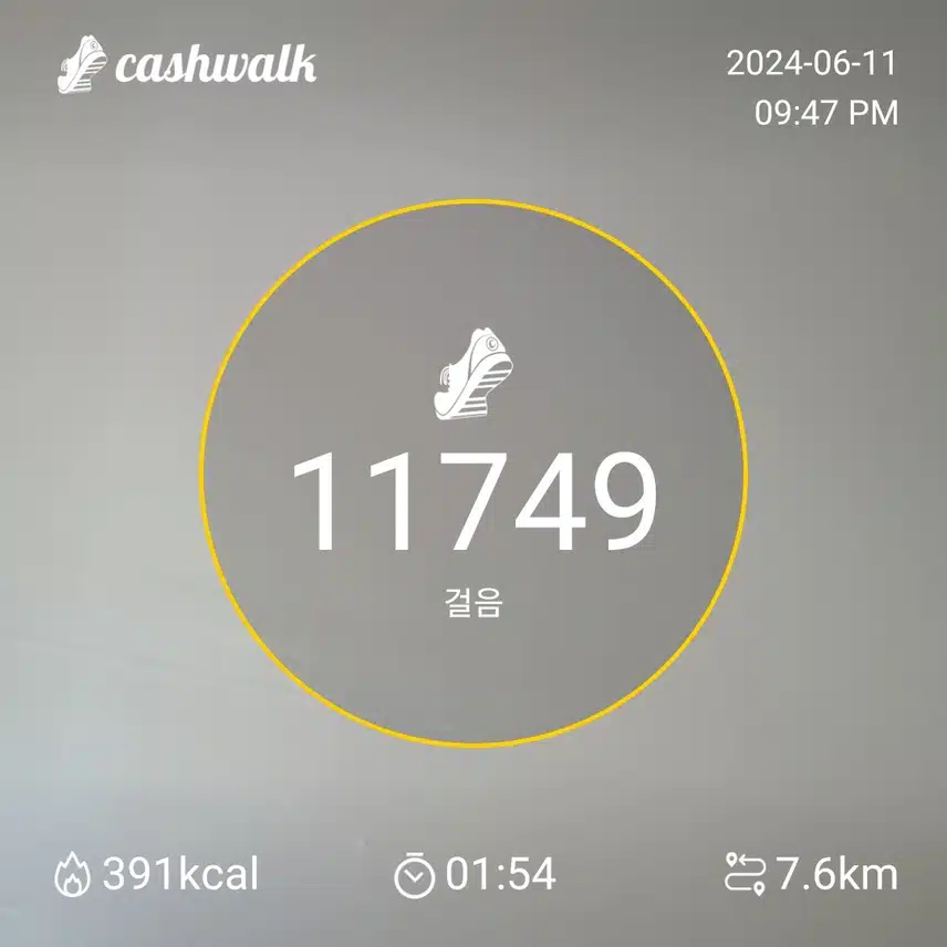 하루 6200보 걷기 인증