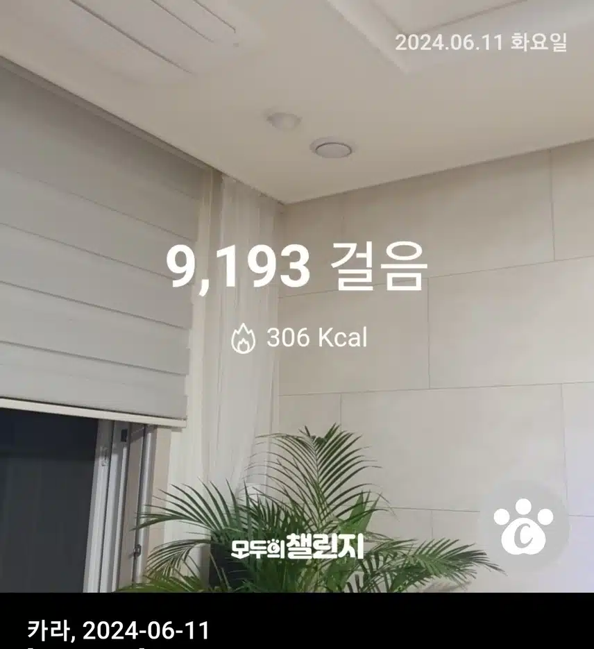 인증