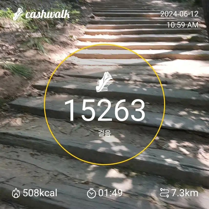 인증완료