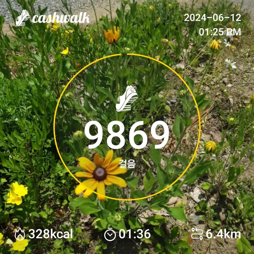 6.2인증
