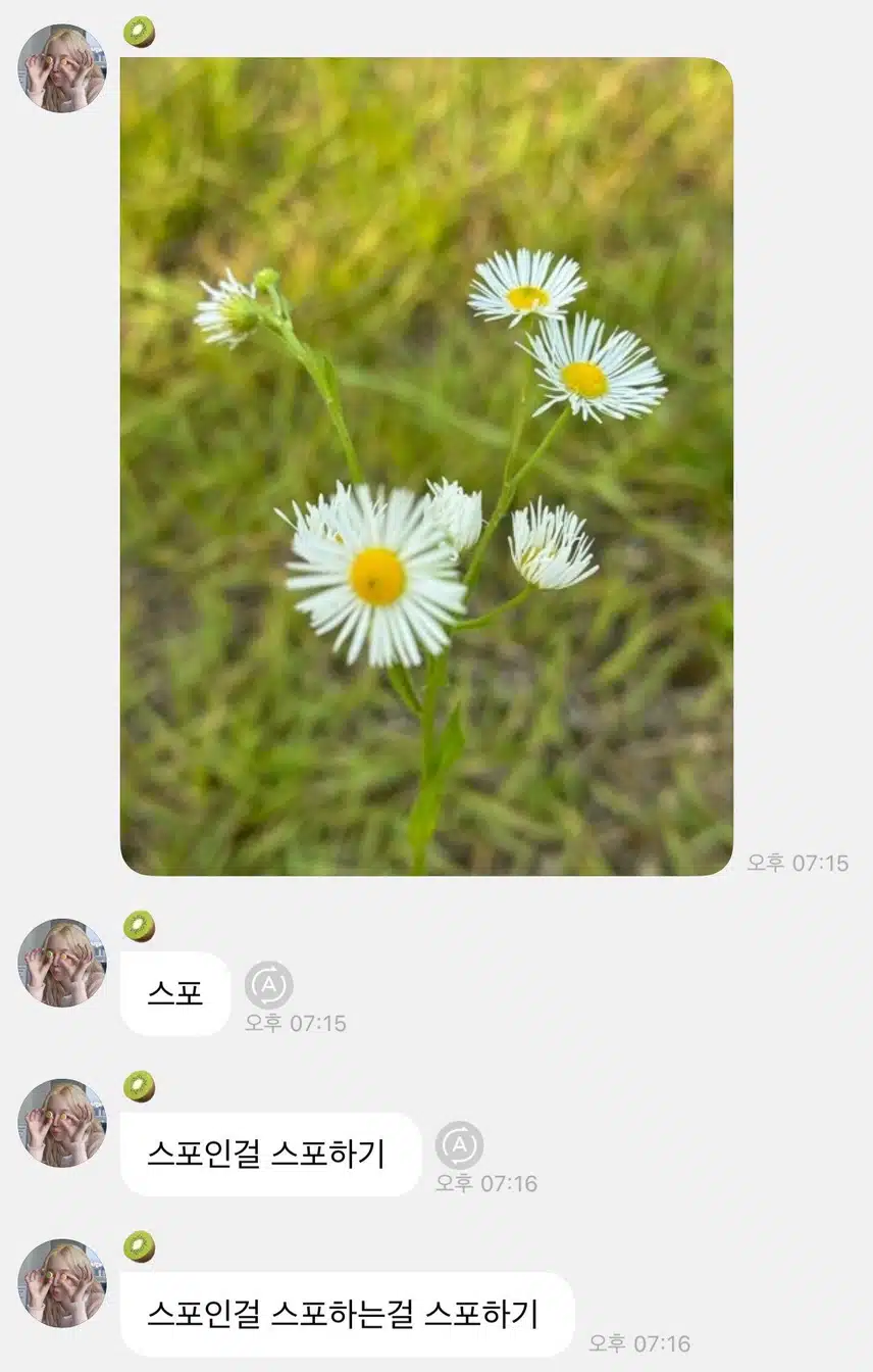 버블로 콘서트 스포한 윈터