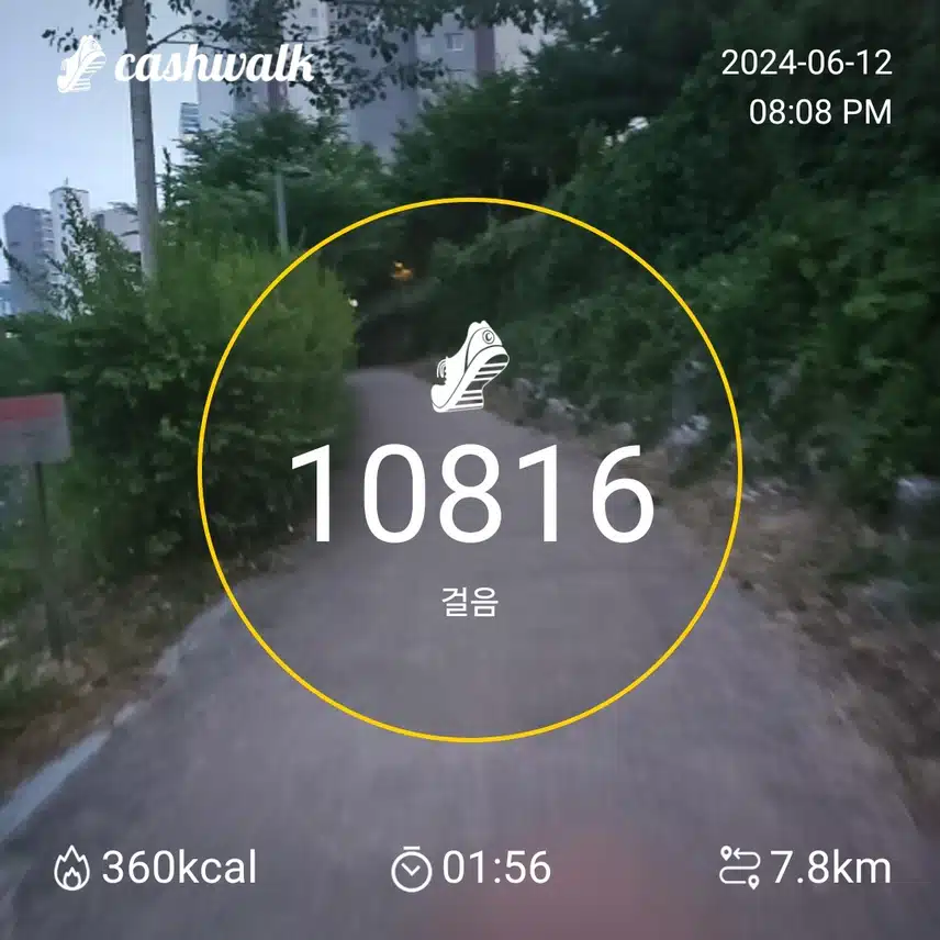 인증