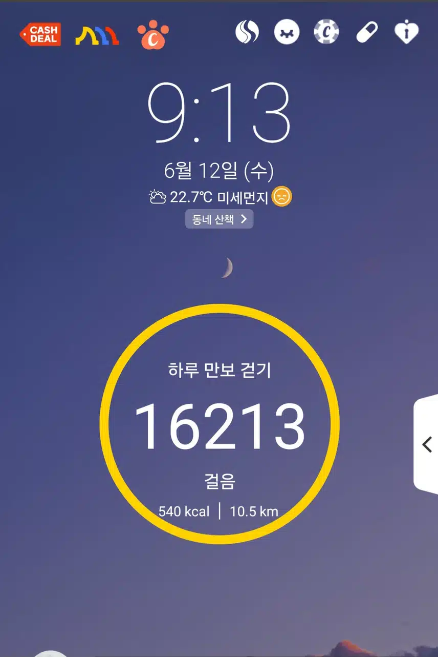 11일차 걷기