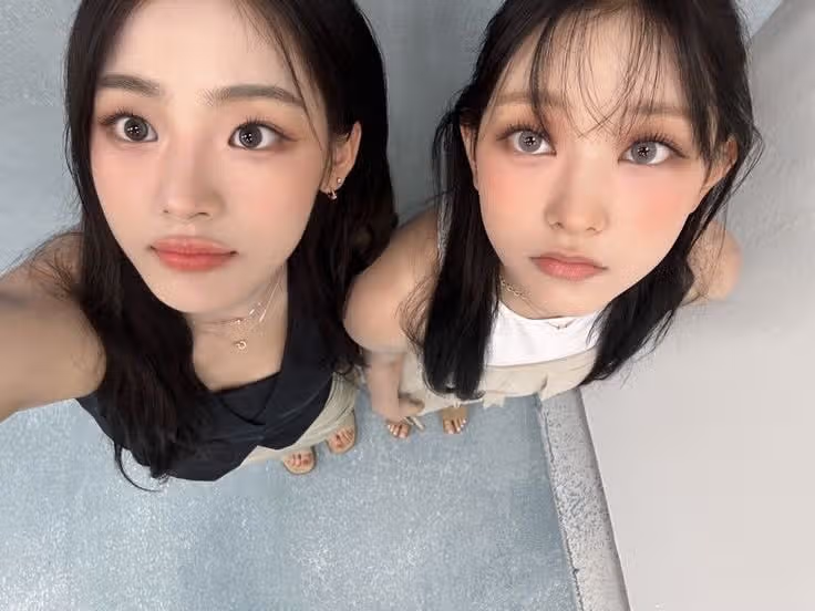강아지와 고양이