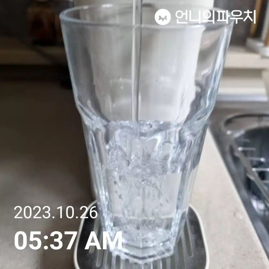 물 모닝