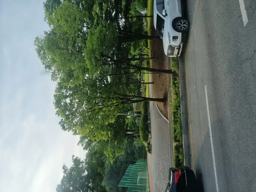 인증