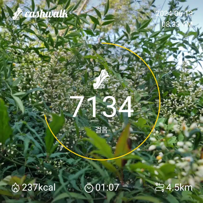 인증