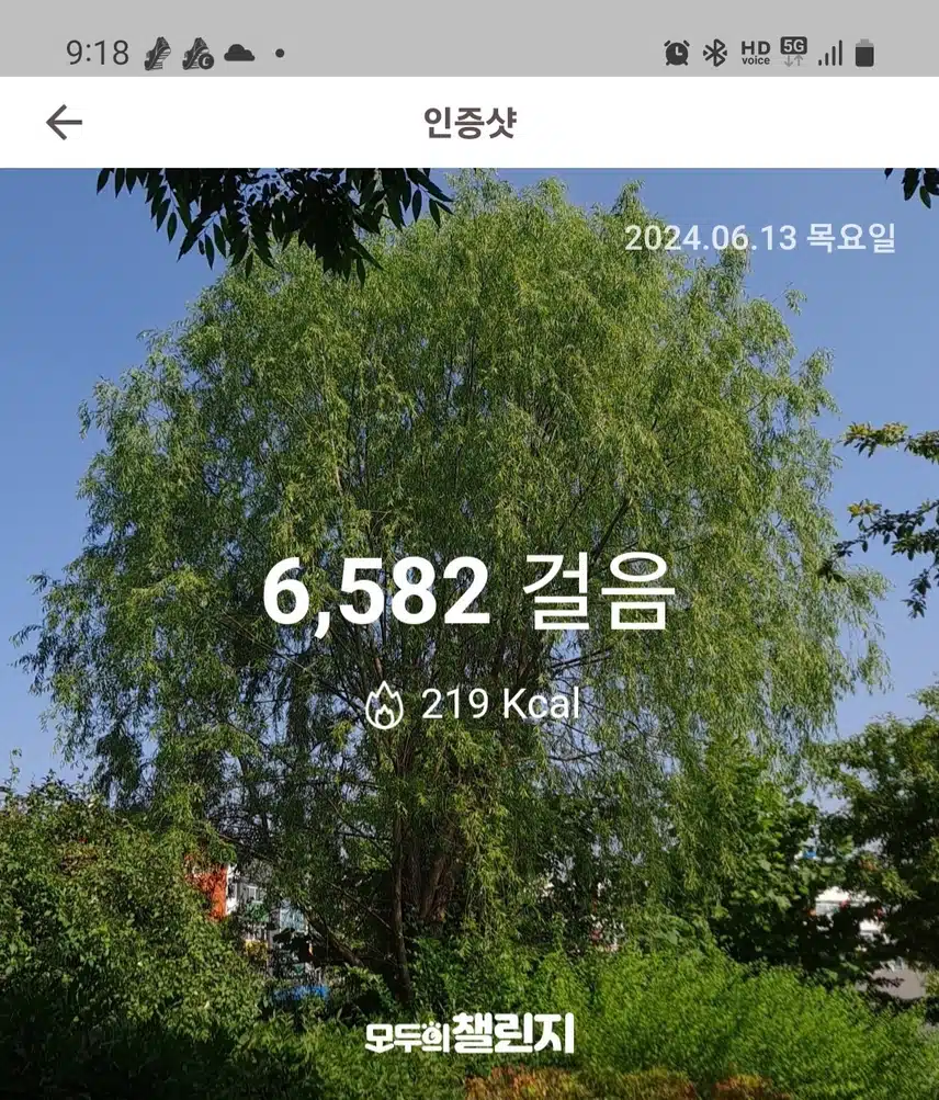 걷기 12일차 인증