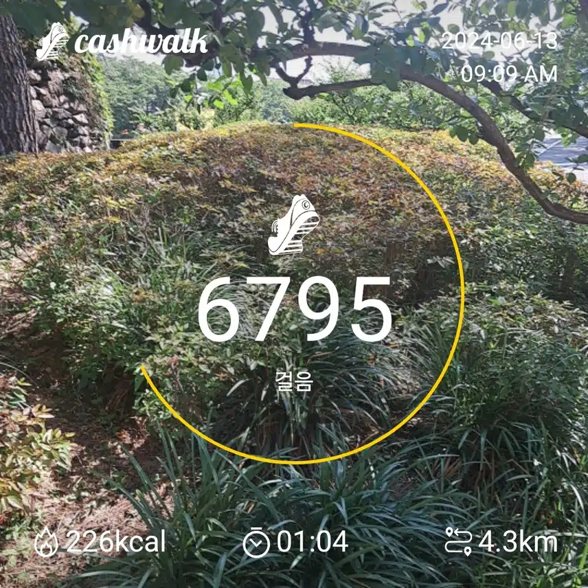 정말로  덥네