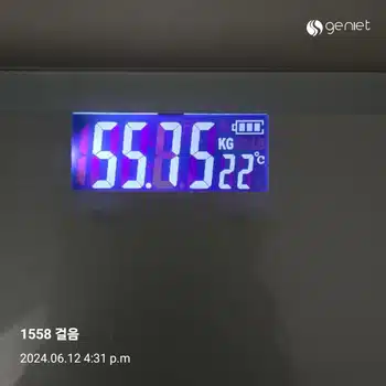 다이어트 후기