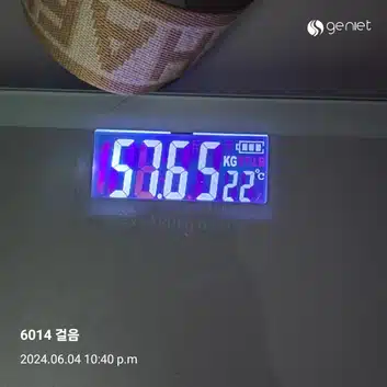 다이어트 후기