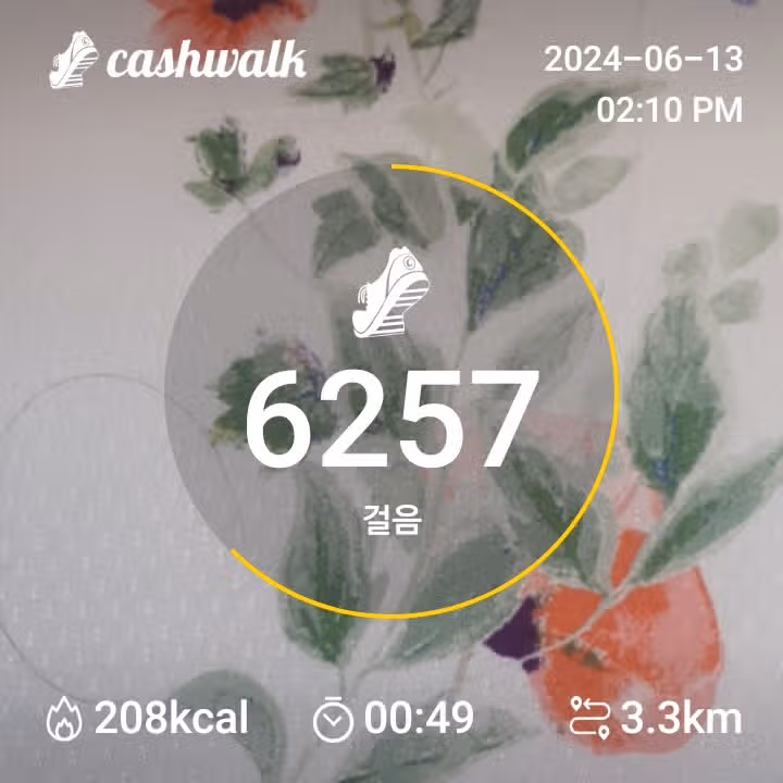 6200보걷기 