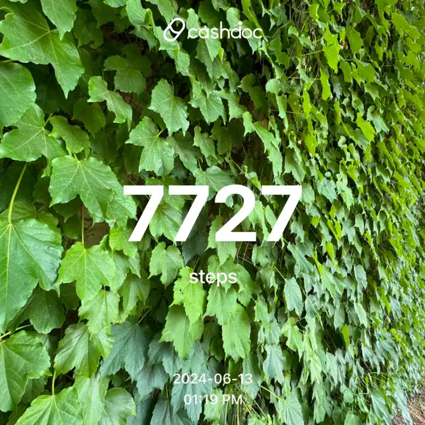 6000보 걷기