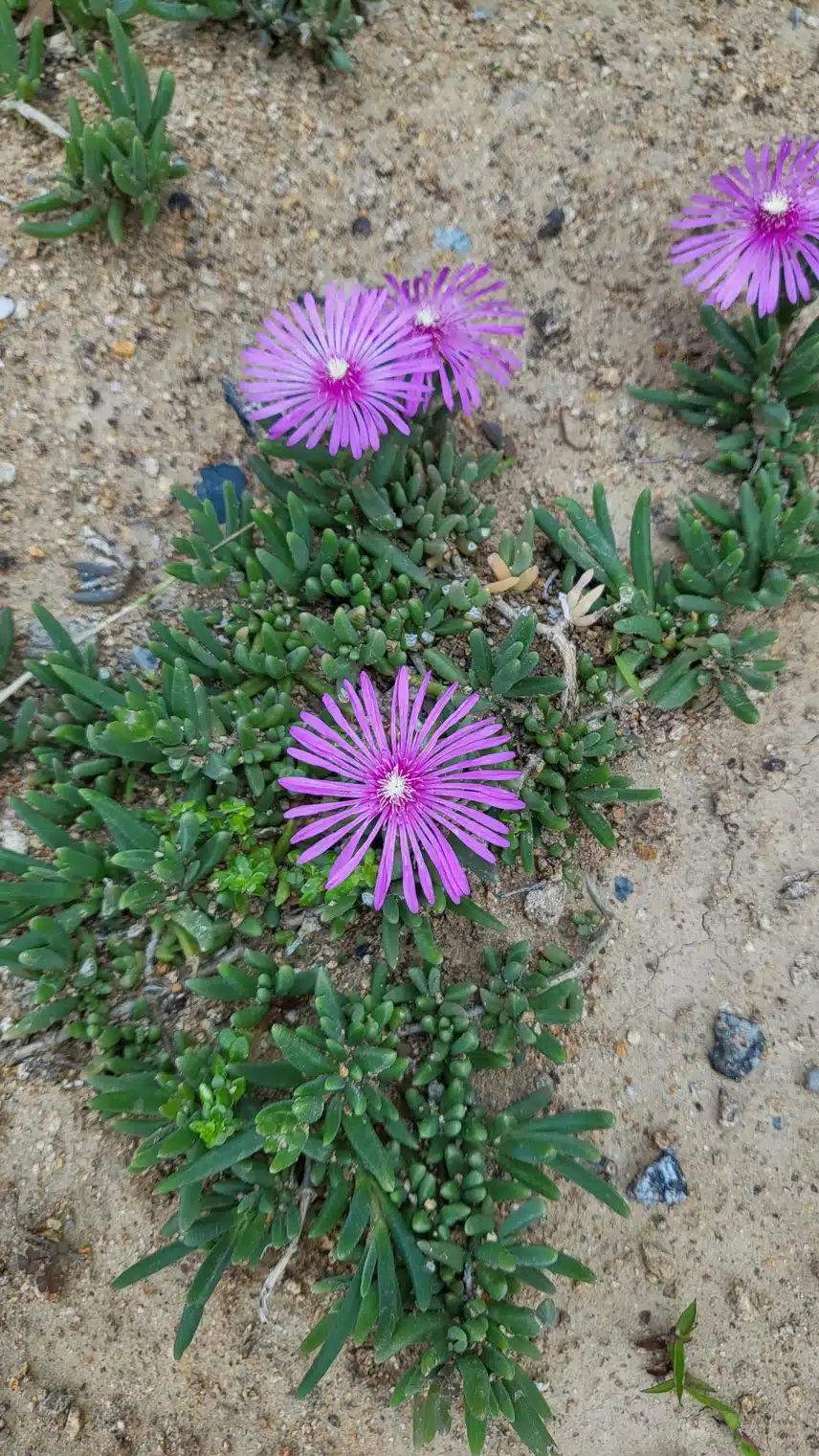 바닥