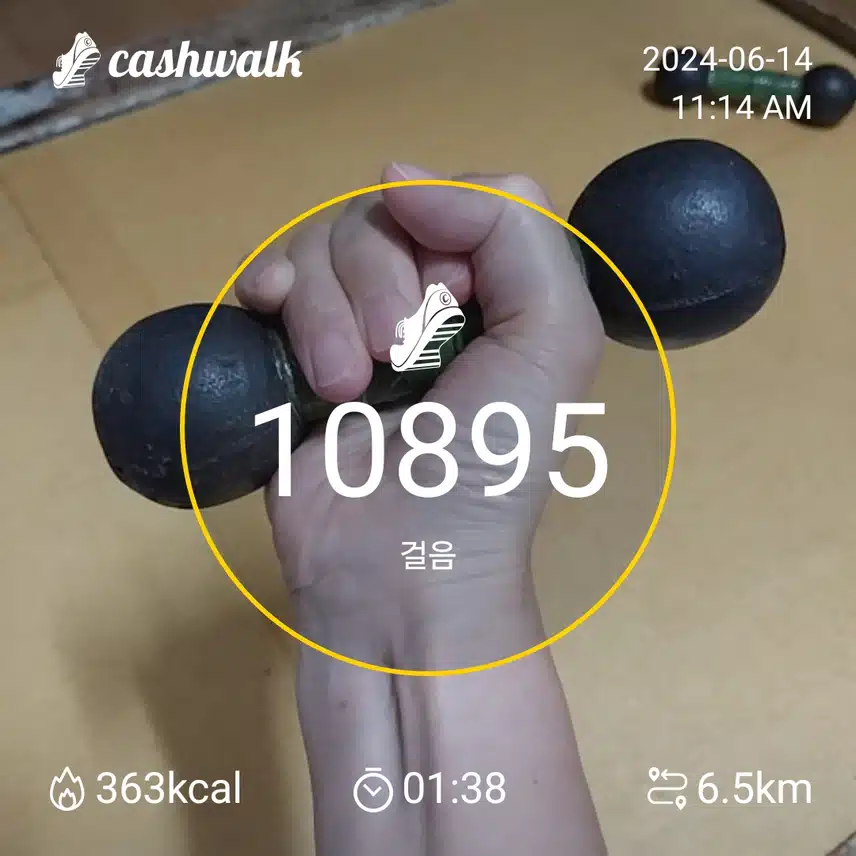 6200보 