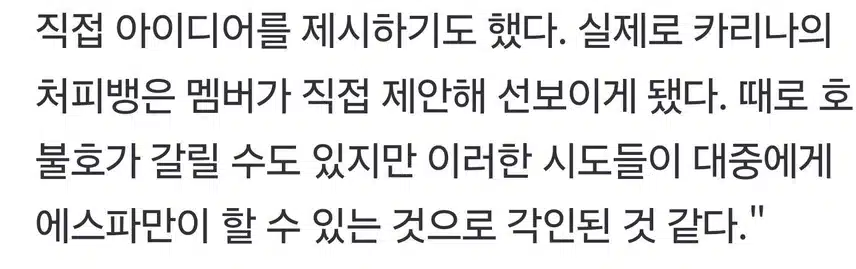 카리나 처피뱅 카리나 아이디어였네요