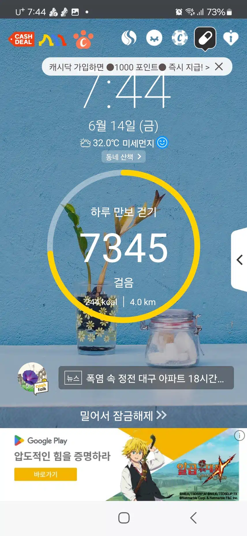 유기농데이걷기