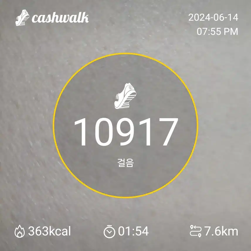 오늘도 난