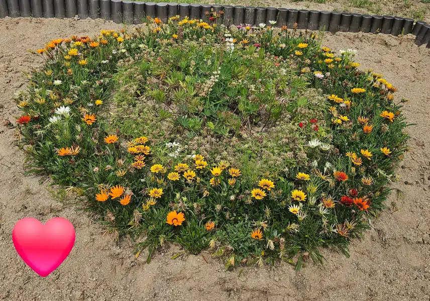공원 초입에 꽃밭