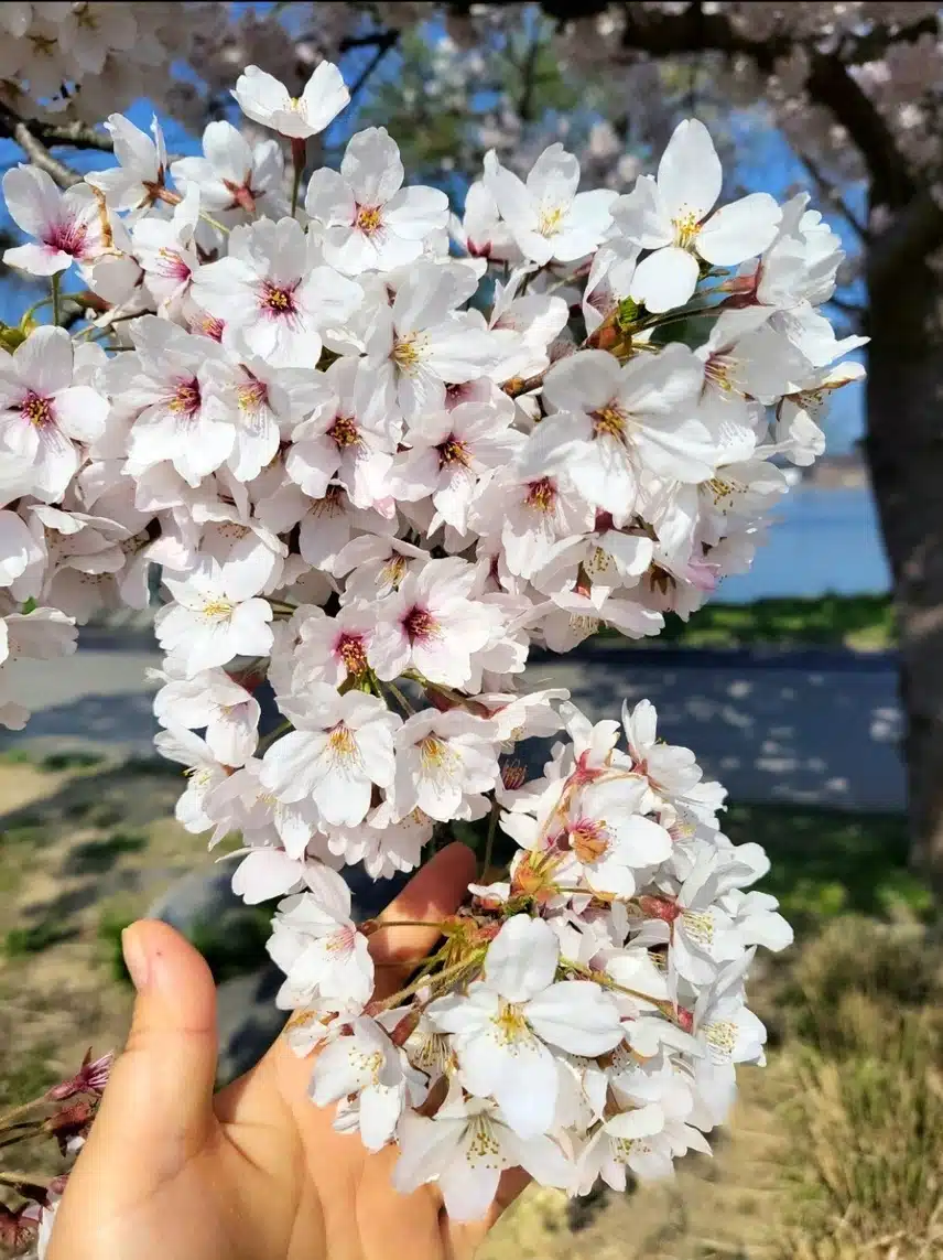 사진작가 뺨치는 친구작품