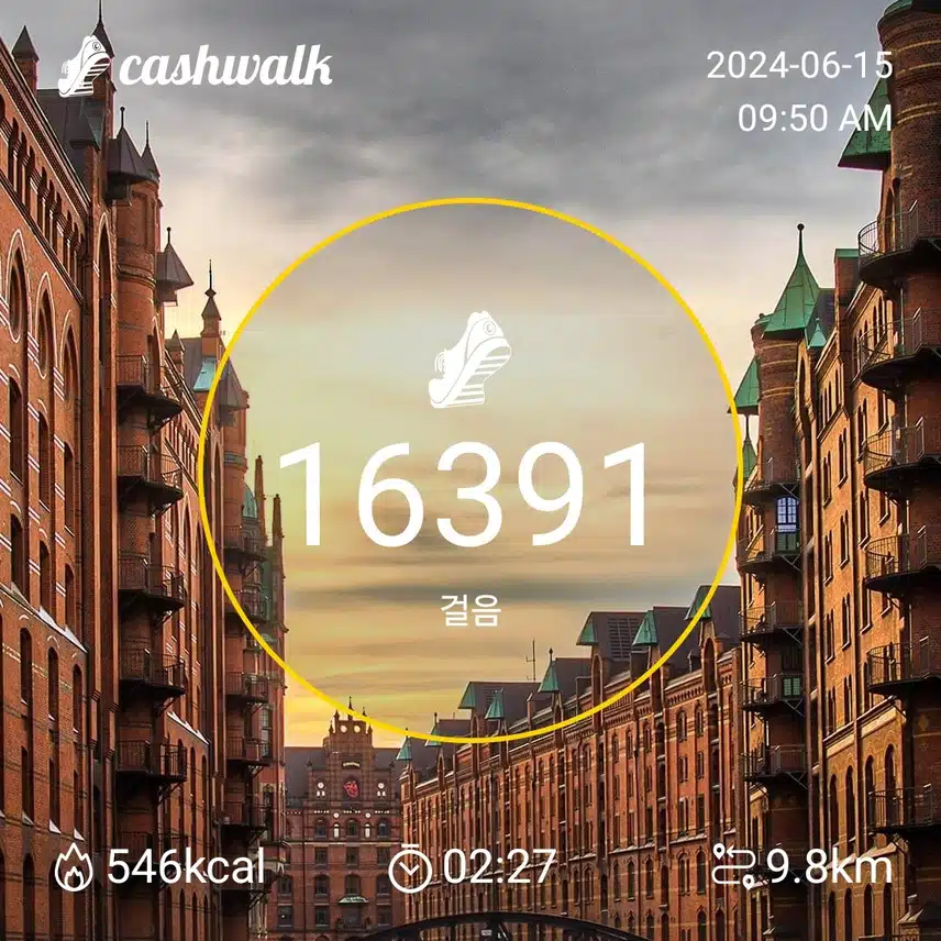 6.2백보인증 