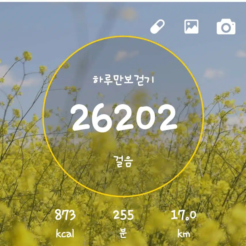 완료..