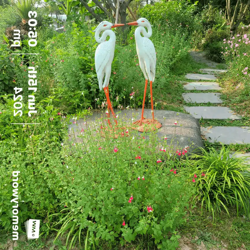 구르미머므는 꽃 2