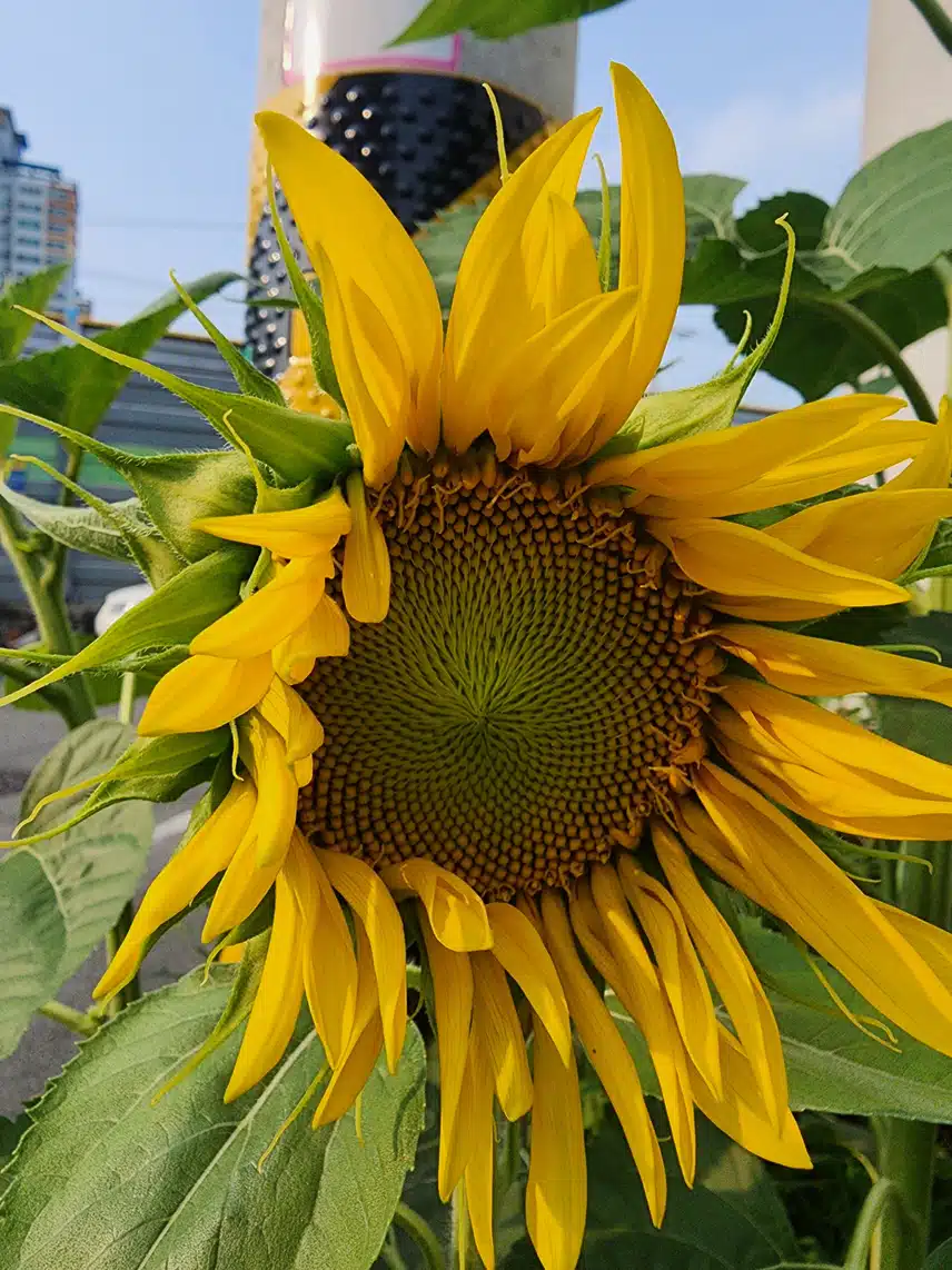 홀로 씩씩하게