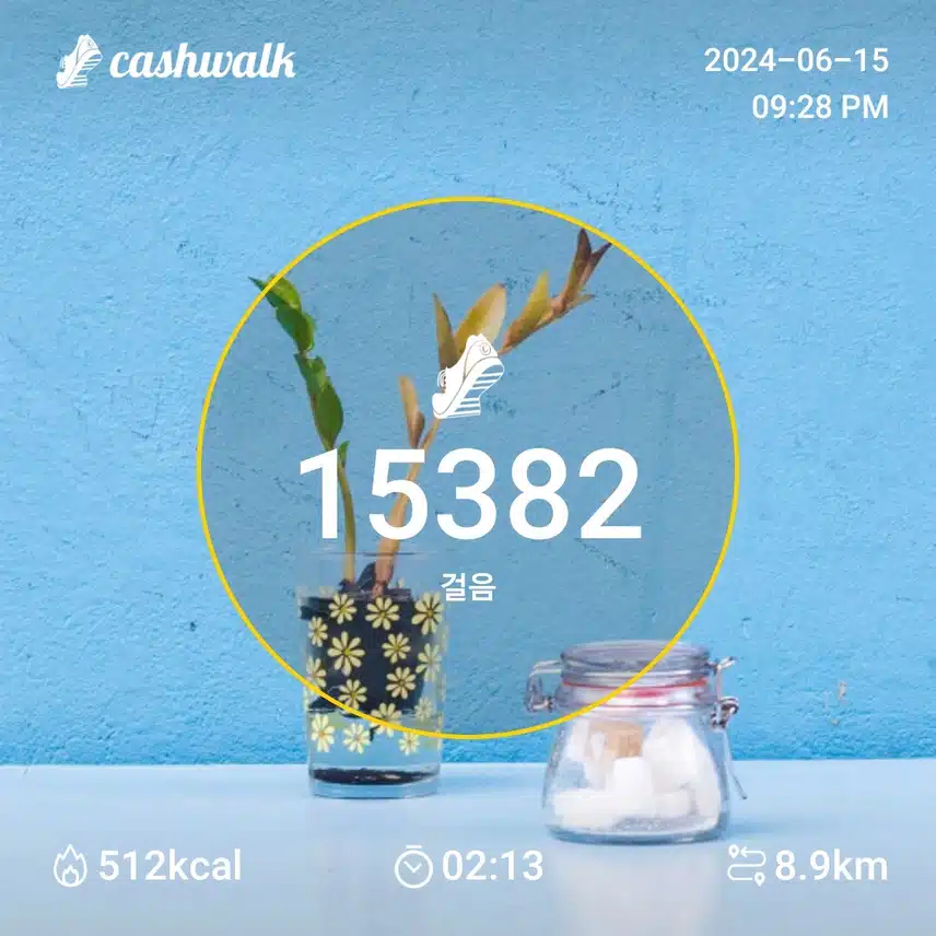 인증 