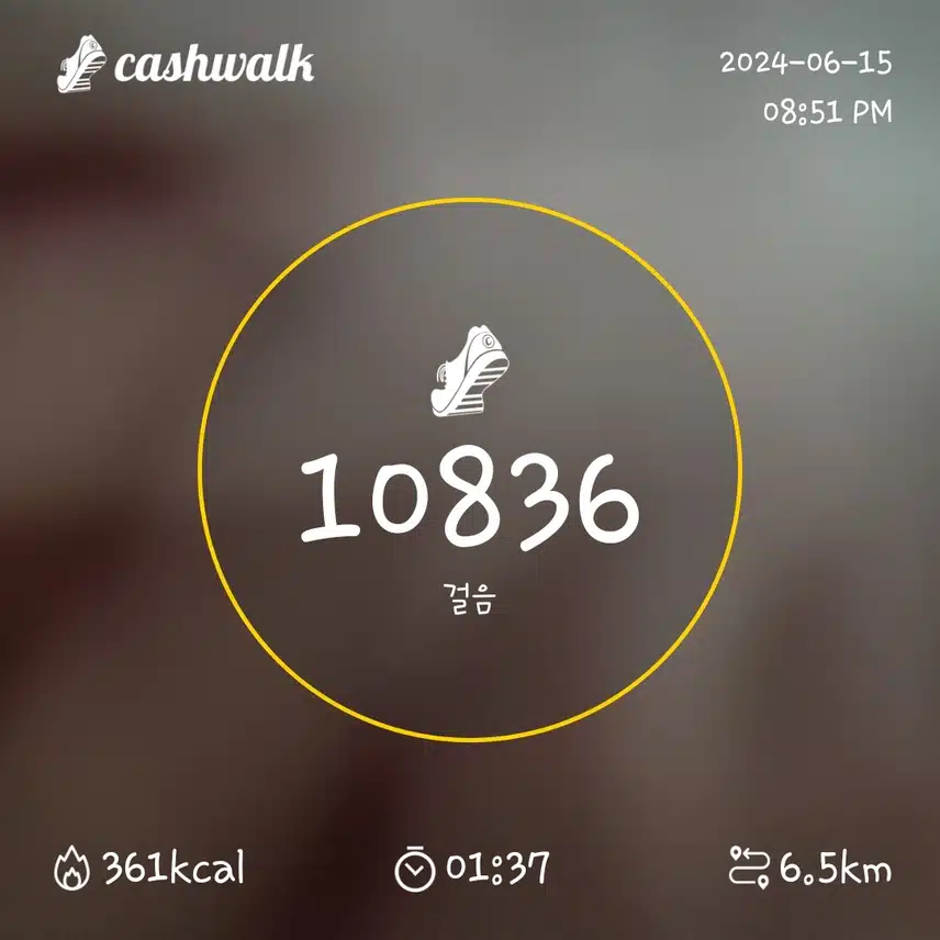 6200보걷기 10일차인증