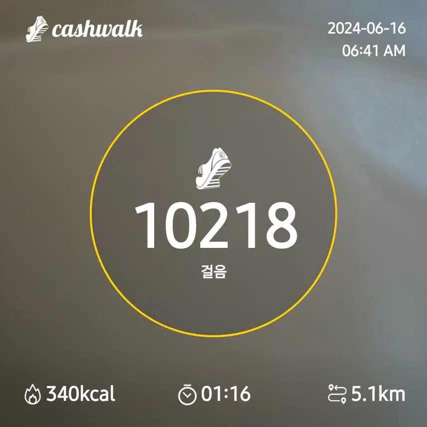 만보인증