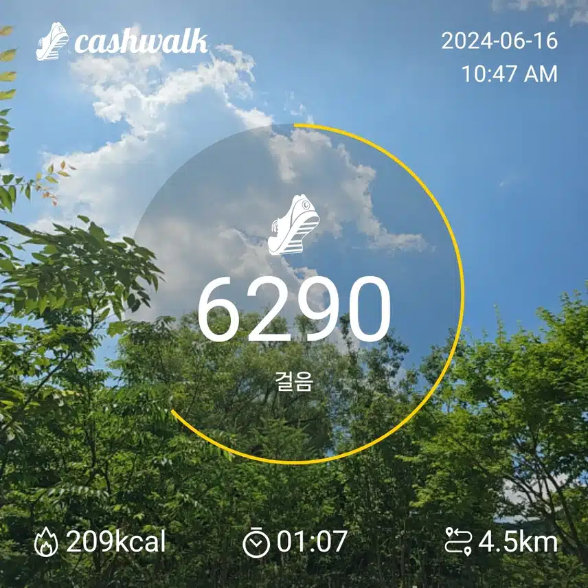 인증