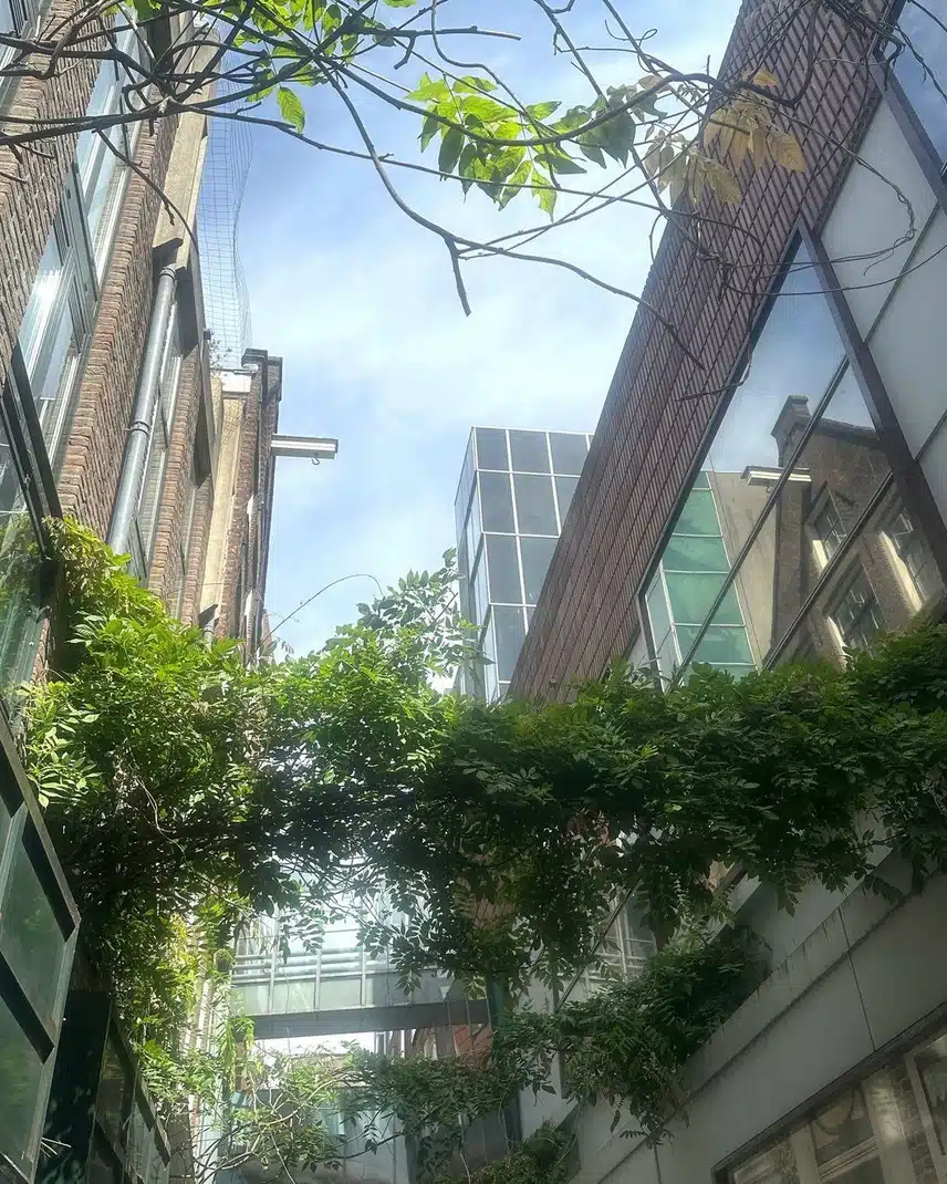 레이 인스타 업데이트✨️
