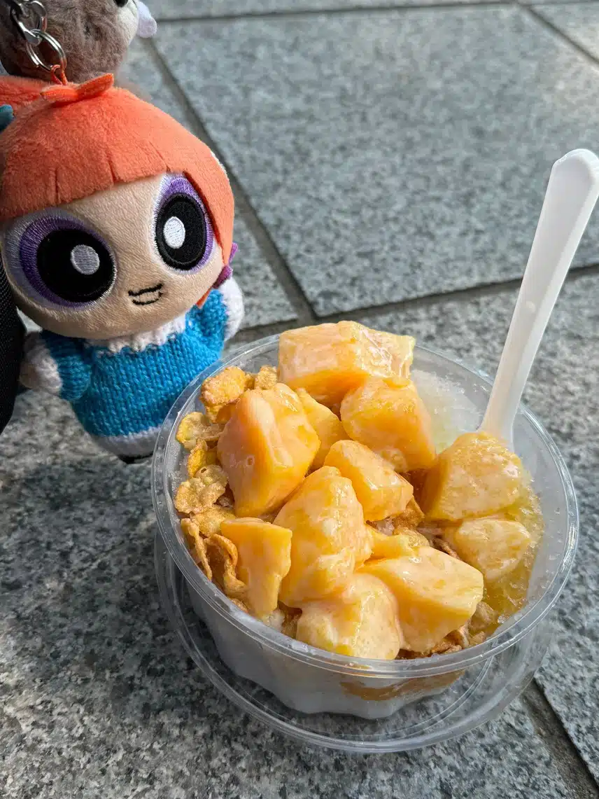 오늘은 🥭망고빙수🍧역조공