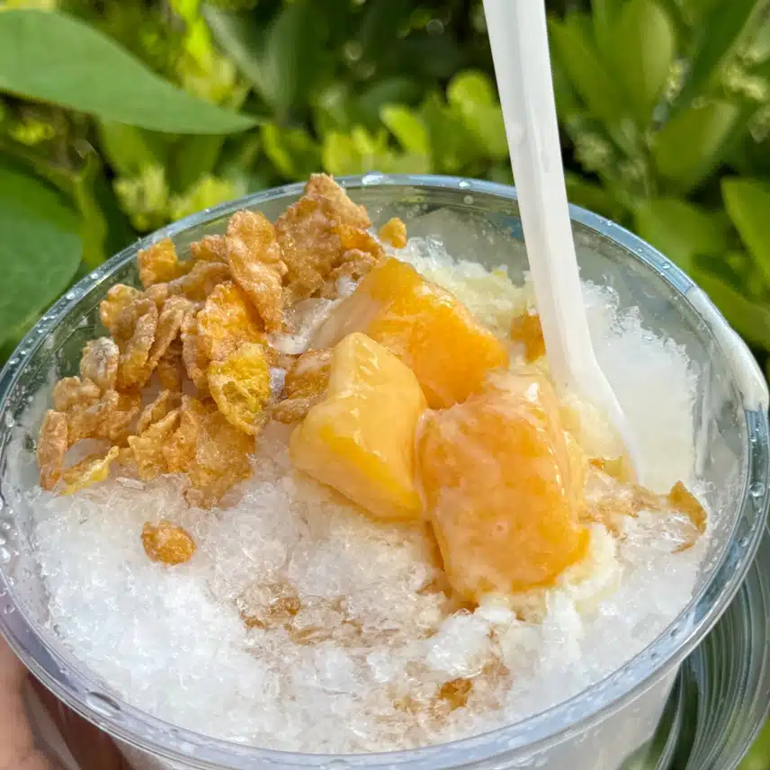 오늘은 🥭망고빙수🍧역조공