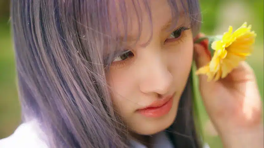🌼꽃보다 리즈🌻