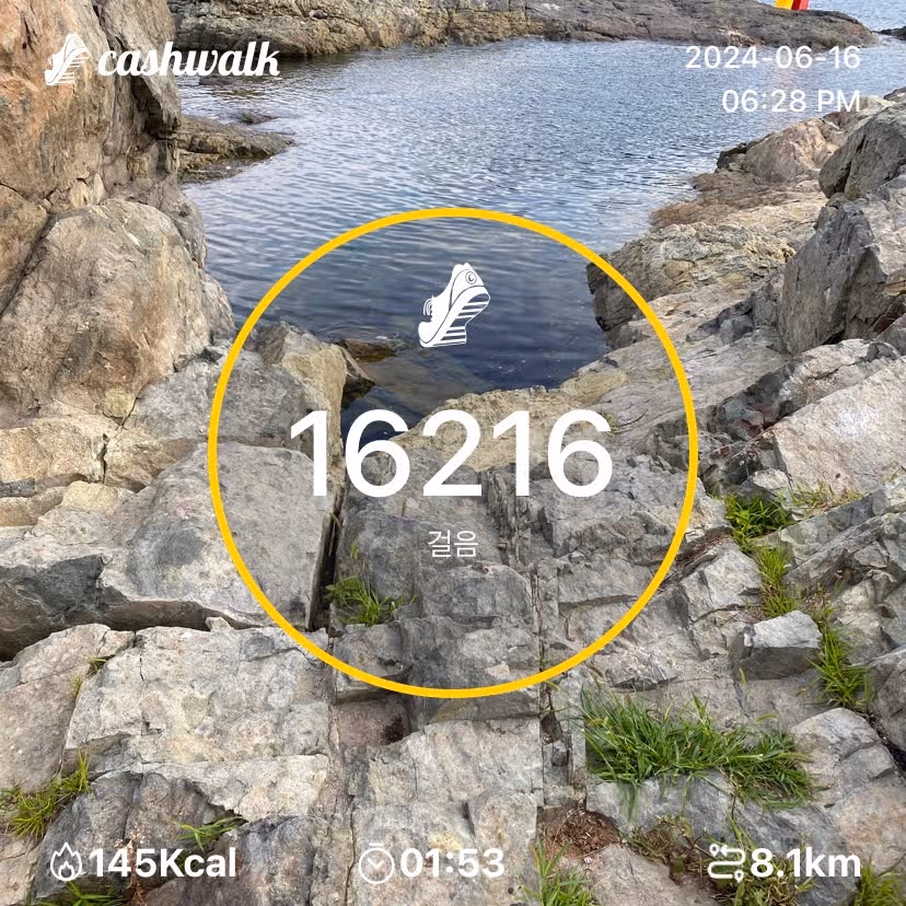 일요일인증
